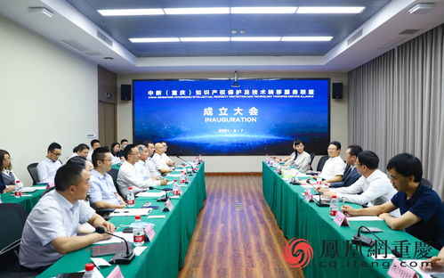 中新重慶知識產(chǎn)權(quán)保護(hù)及技術(shù)轉(zhuǎn)移服務(wù)聯(lián)盟成立，為兩地創(chuàng)新合作搭建新通道